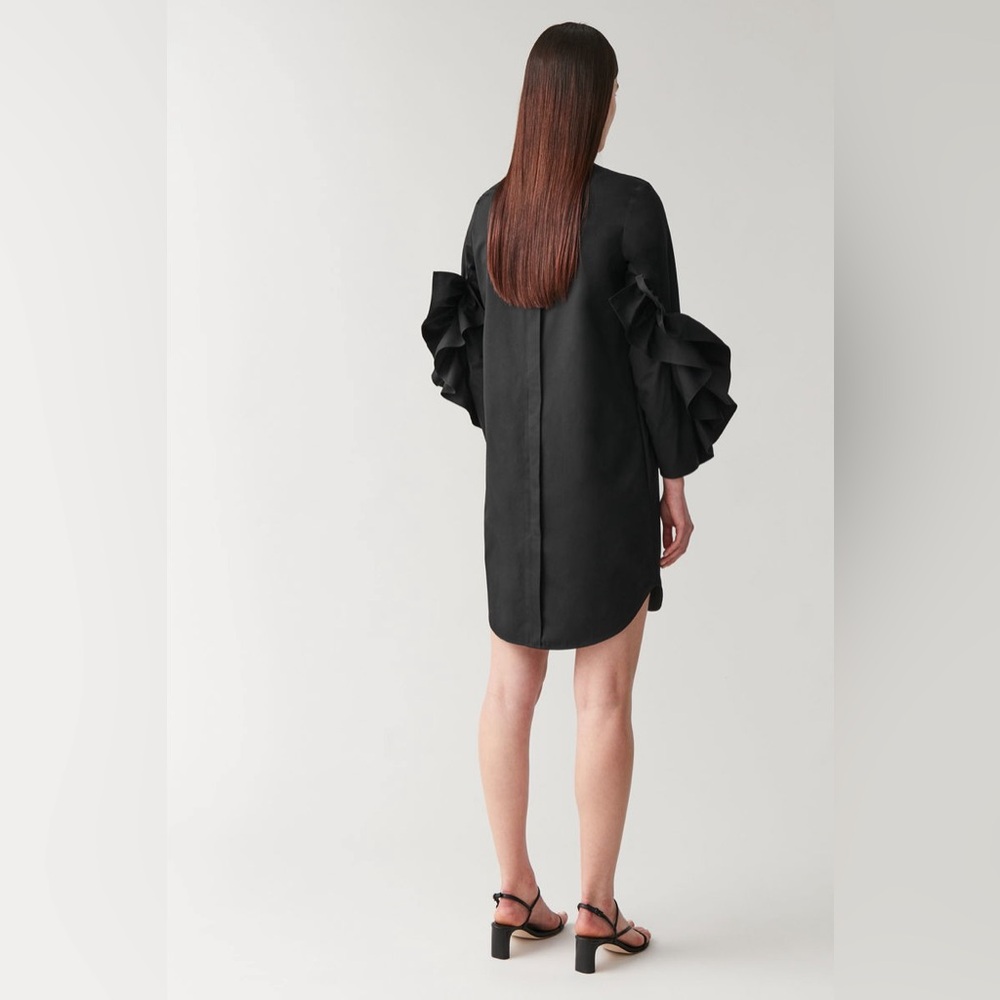 COS Dress With Sleeve Ruffles size 2 - Picture 3 of 6